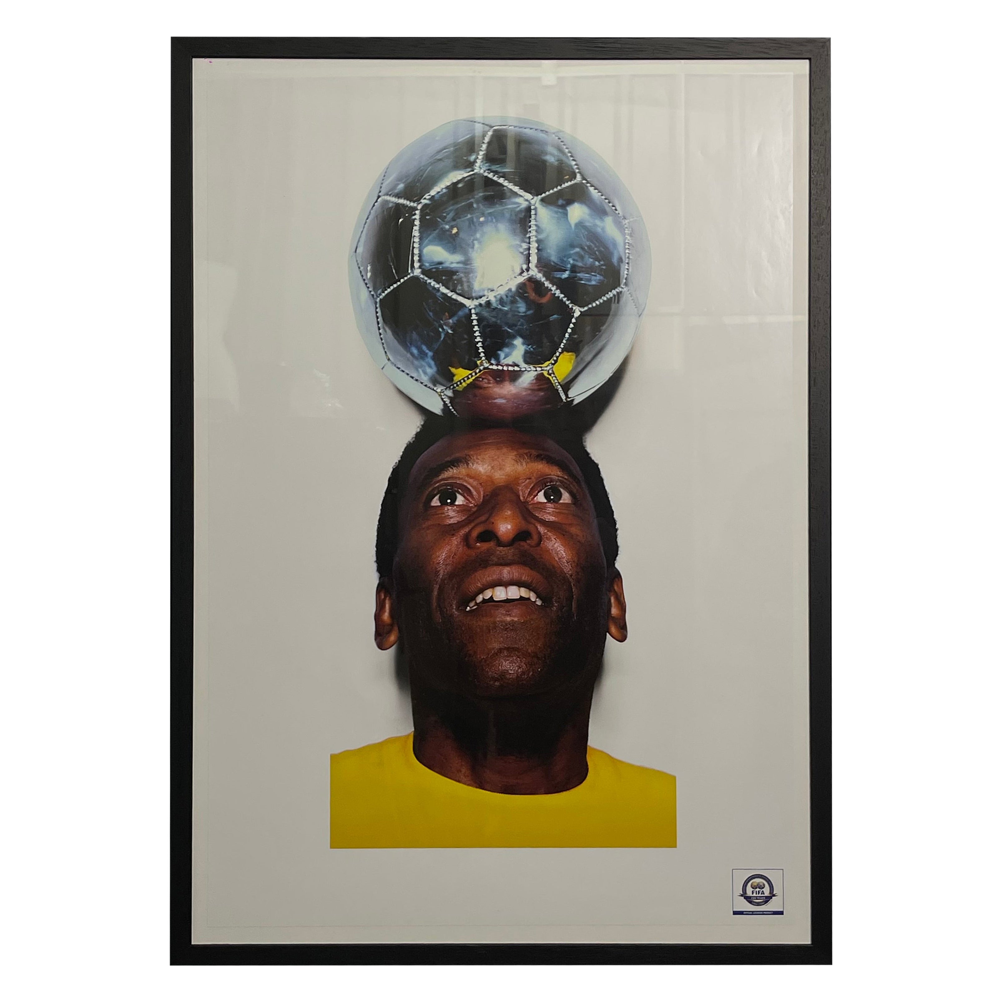 Pelé von Marc Quinn 2004 FIFA 100