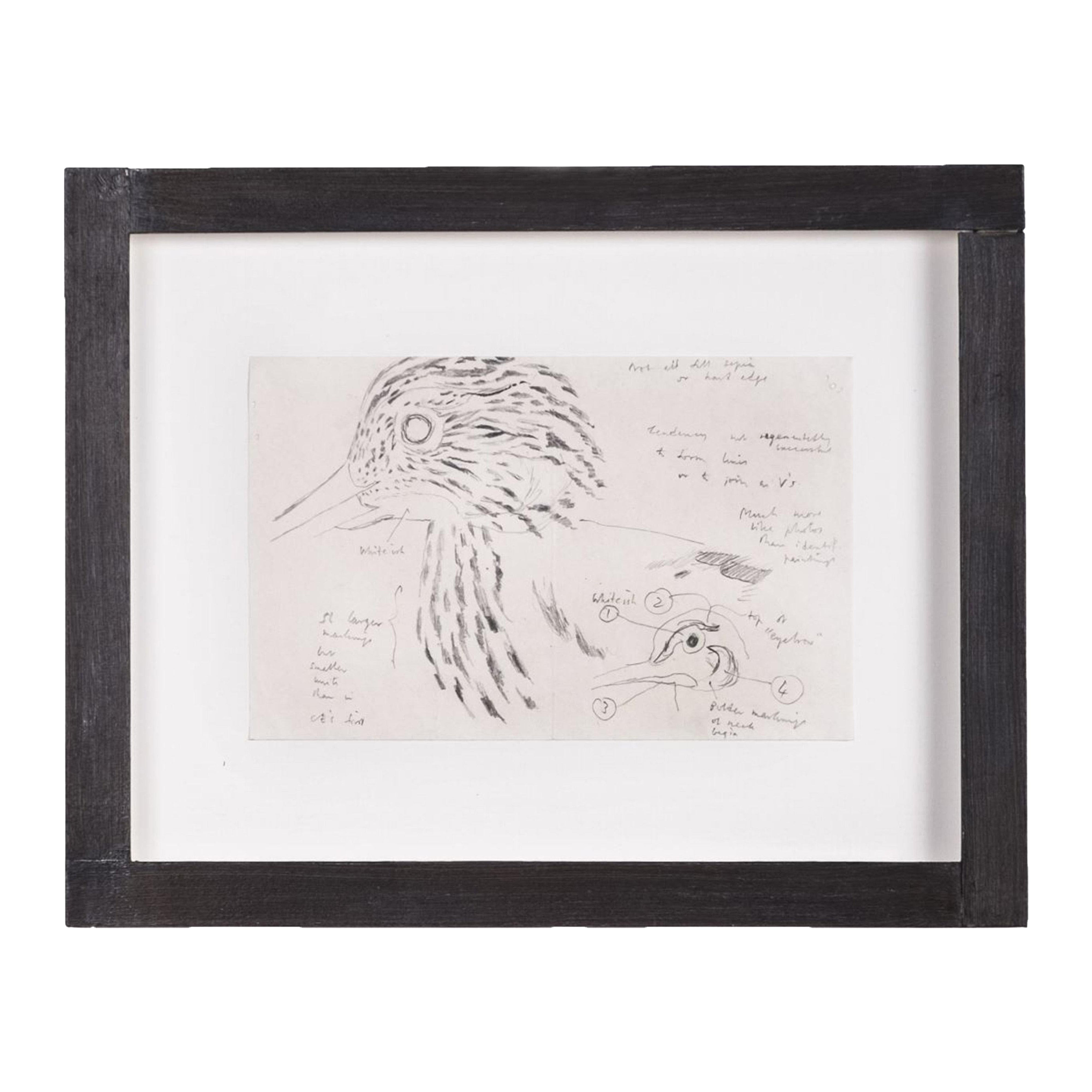 Clifford Ellis, Curlew II