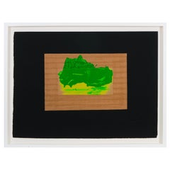 Howard Hodgkin, Vista de la India D