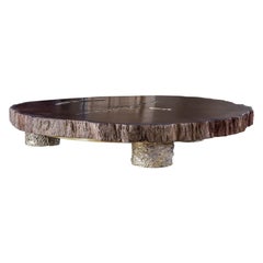 Contemporary Polished Waterbubinga wood, cast brass Coffee table