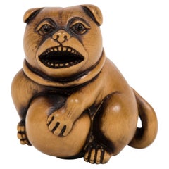 Cachorro japonés Nestuke en boj