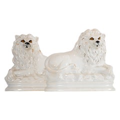 Staffordshire Lions