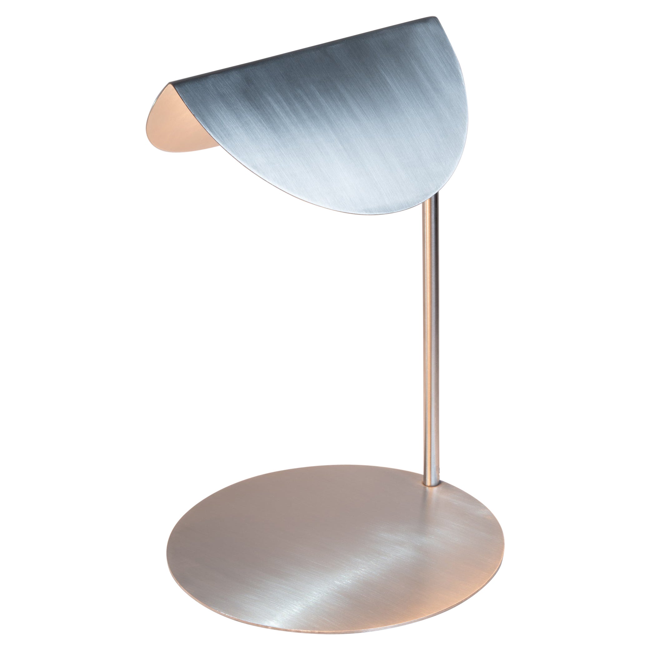 Stainless Steel Desk Lamp 1 by Georgiev Zabeta