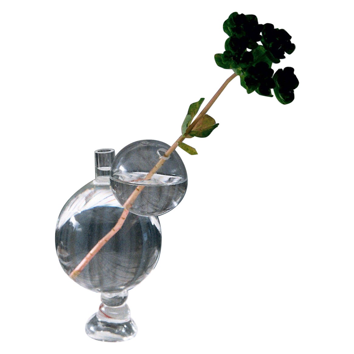 Vaso di vetro 1 di Georgiev Zabeta