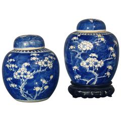 Chinese Blue and White Porcelain Ginger Jars