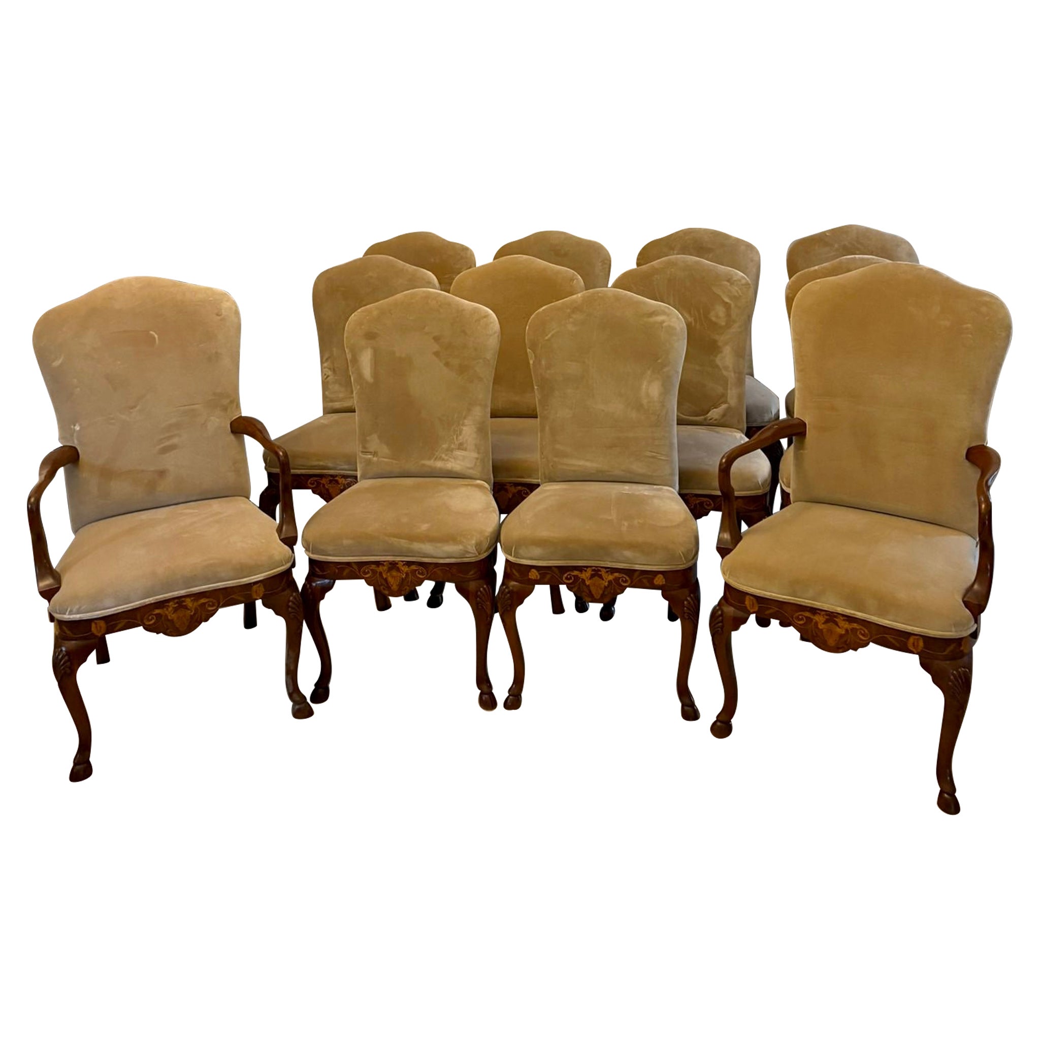 Set of 12 Antique Quality Burr Walnut Inlaid Marquetry Dining Chairs