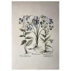 Italienische Contemporary Hand gemalte Botanical Blue Print "Iris und Viola" 7 von 10