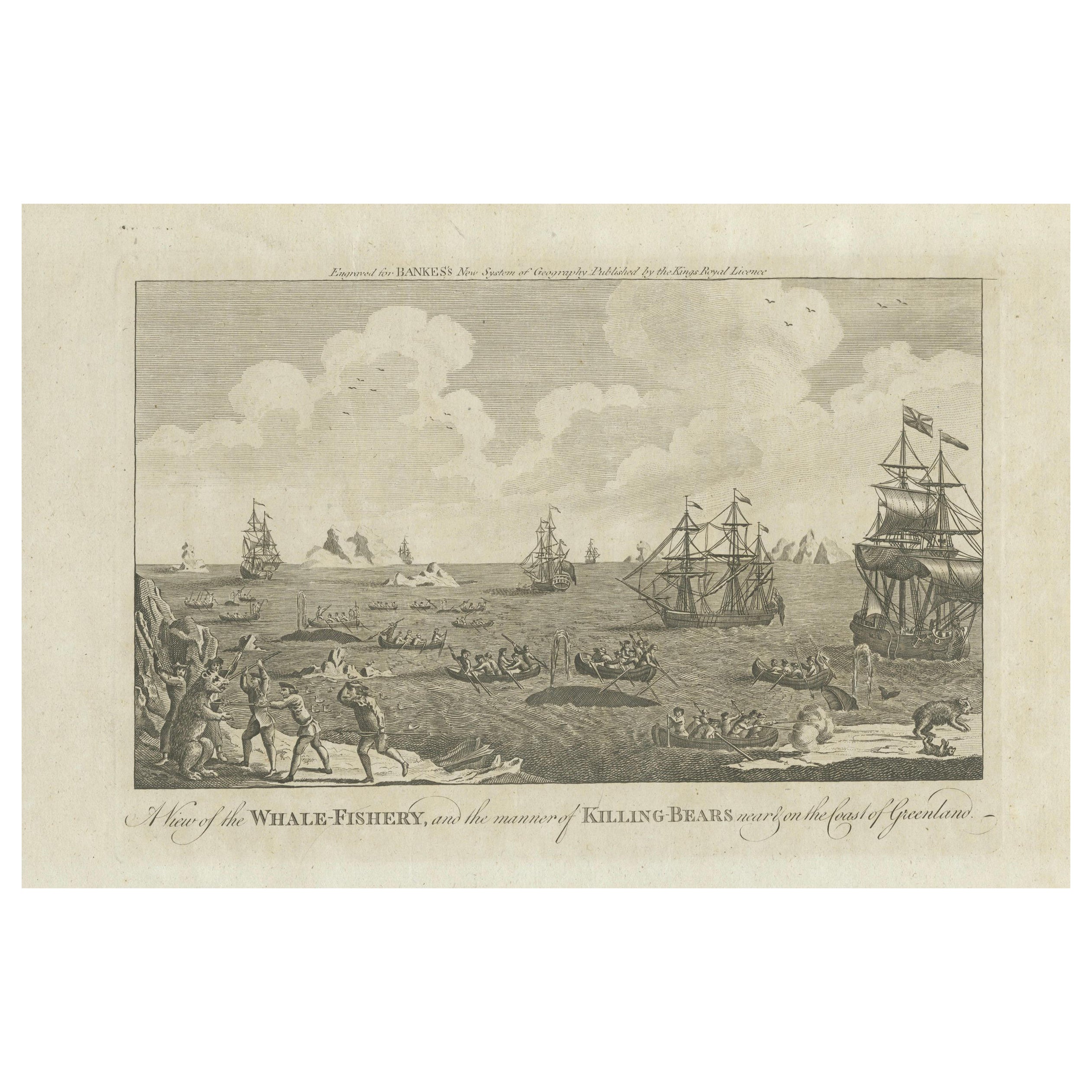 A View of the Whale-Fishery and the Manner of Killing Bears near Greenland, 1778 For Sale