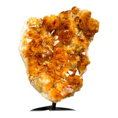 Natural Citrine Cluster with Superb Deep Orange Citrine Druzy on Stand