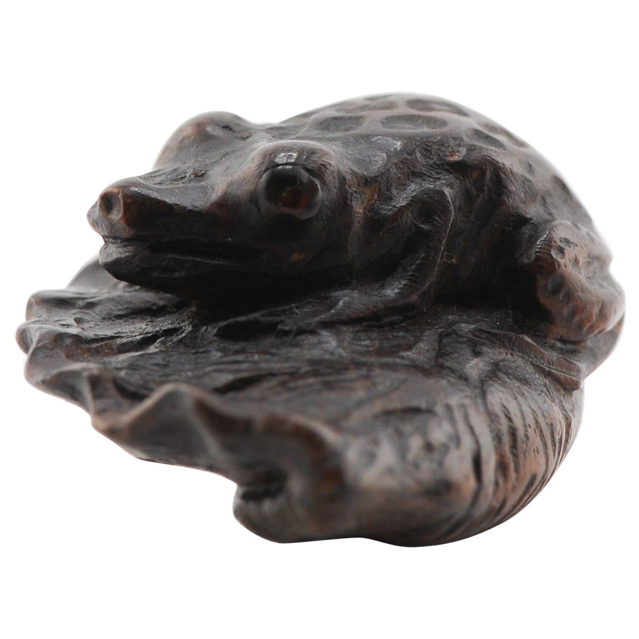Netsuke antiguo de madera Figura de rana japonesa Periodo Meiji, Siglo 19/20