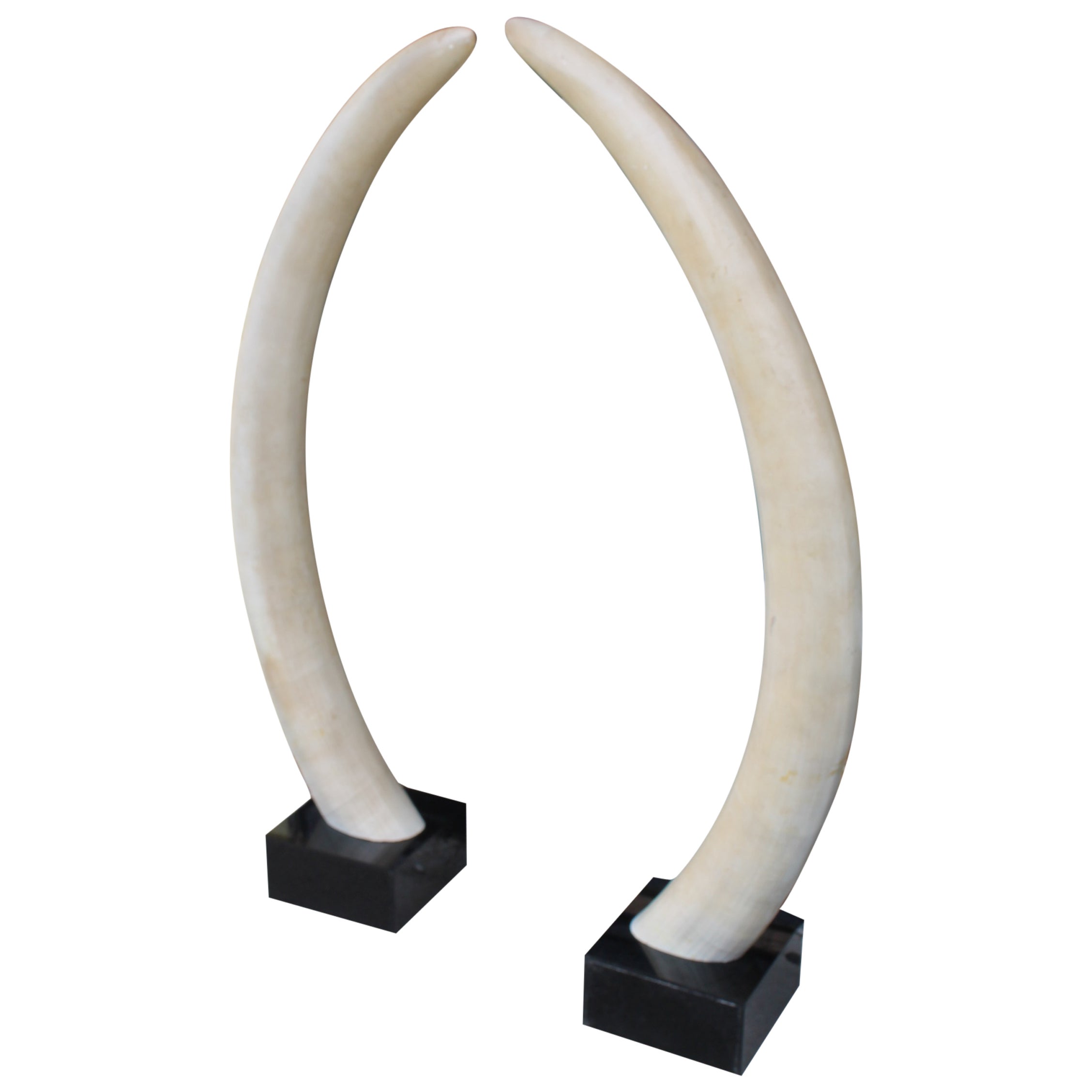 Pair of Vintage Resin Elephant Tusks at 1stDibs