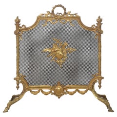 Brass and mesh French fire screen