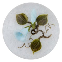 Victor Trabucco Paperweight Lampwork Convolvulus Flowers 1999