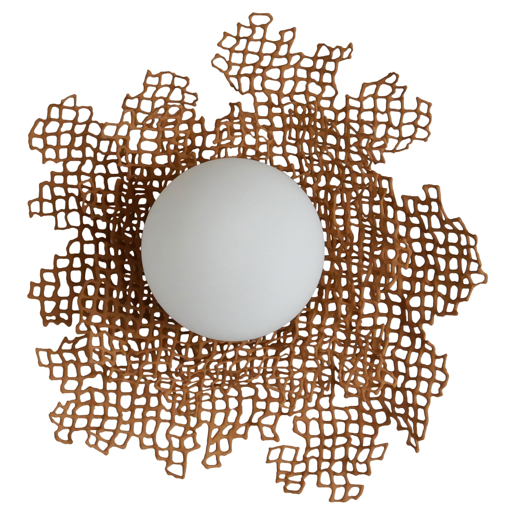 Pearl Wall Lamp by Dzovag Kotchian