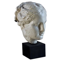 Classic Greek Head Plaster Reproduction