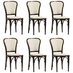 Antique Set of Six Dining Chairs by Gustav Siegel for Thonet