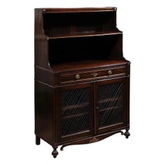 19th Century English Regency Period Chiffonier Cabinet with Brass Fittings
