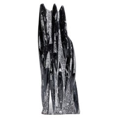 Sculpted Fossil