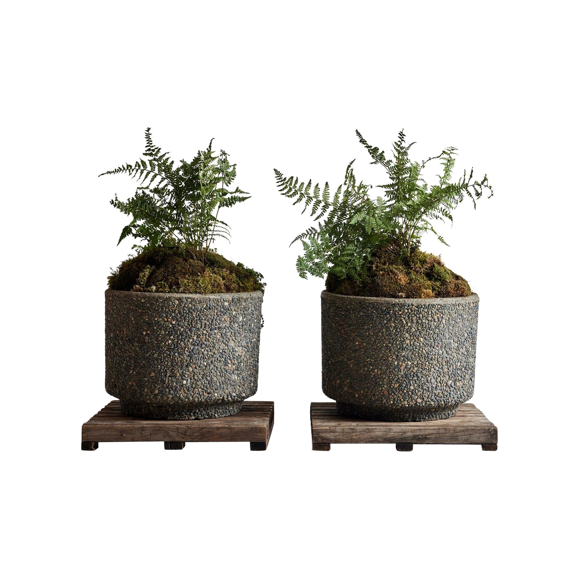 Jardineras de piedra