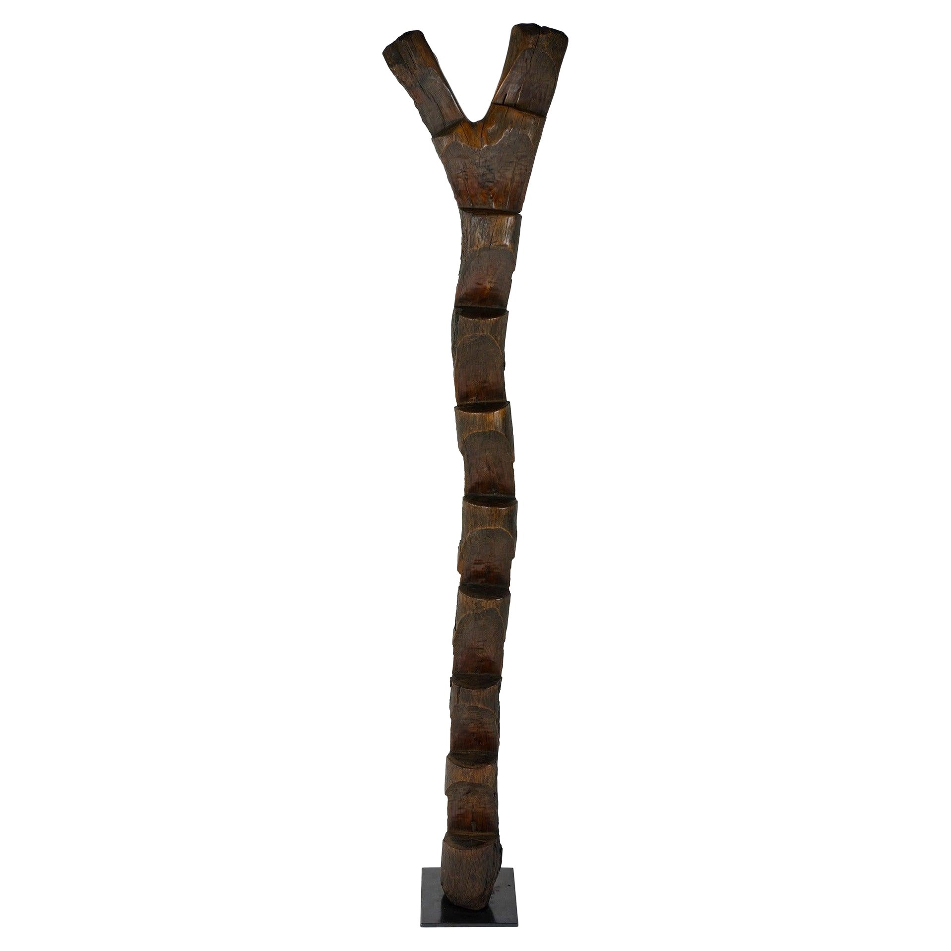 What is a Dogon ladder?