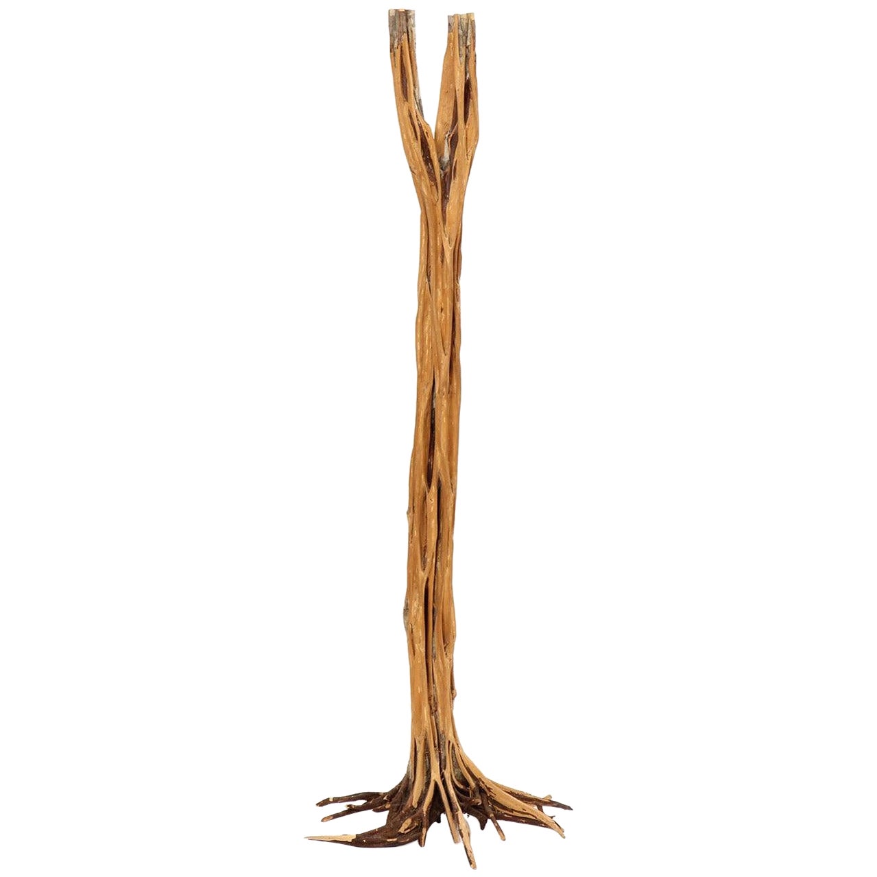 Árboles de pie escultóricos de EE.UU.