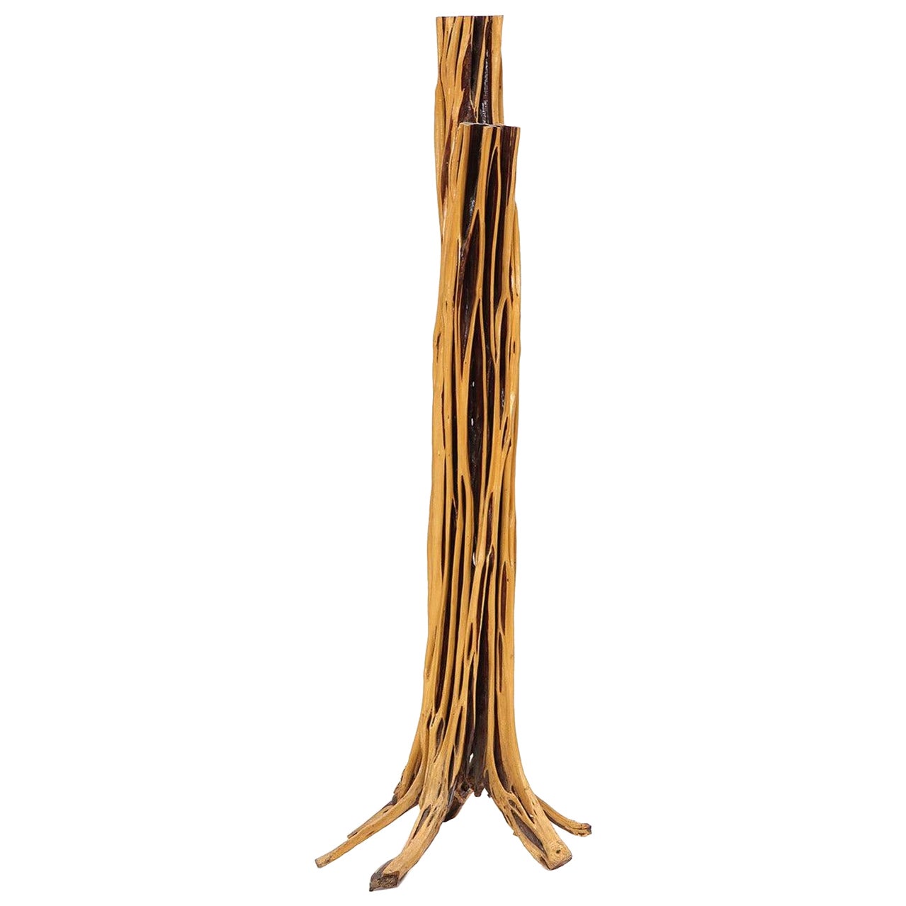Árboles de pie escultóricos de EE.UU.