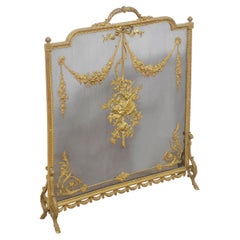 Brass and mesh French fire screen