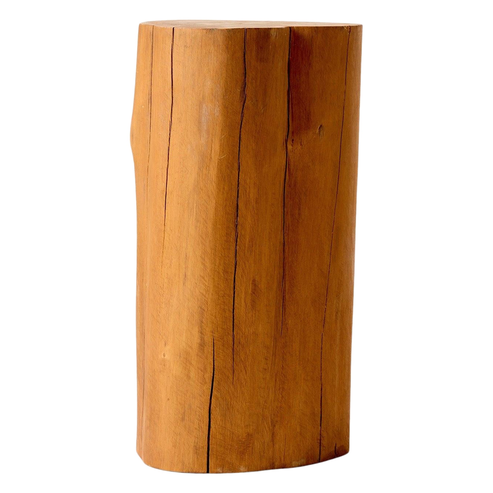 Smooth Tree Trunk Table