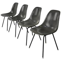 Four Elephant Gray Fiberglass Shell Chairs by Charles and Ray Eames, 1960s