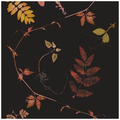 Floral Wallpaper Copper on Black background: Dutch Garden