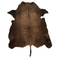 Rug & Kilim’s American Bison Hide Fur Rug in Chocolate Brown Tones