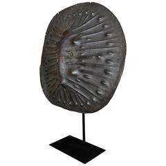 African Shield Oromo from Ethiopia Early 20th Century 6