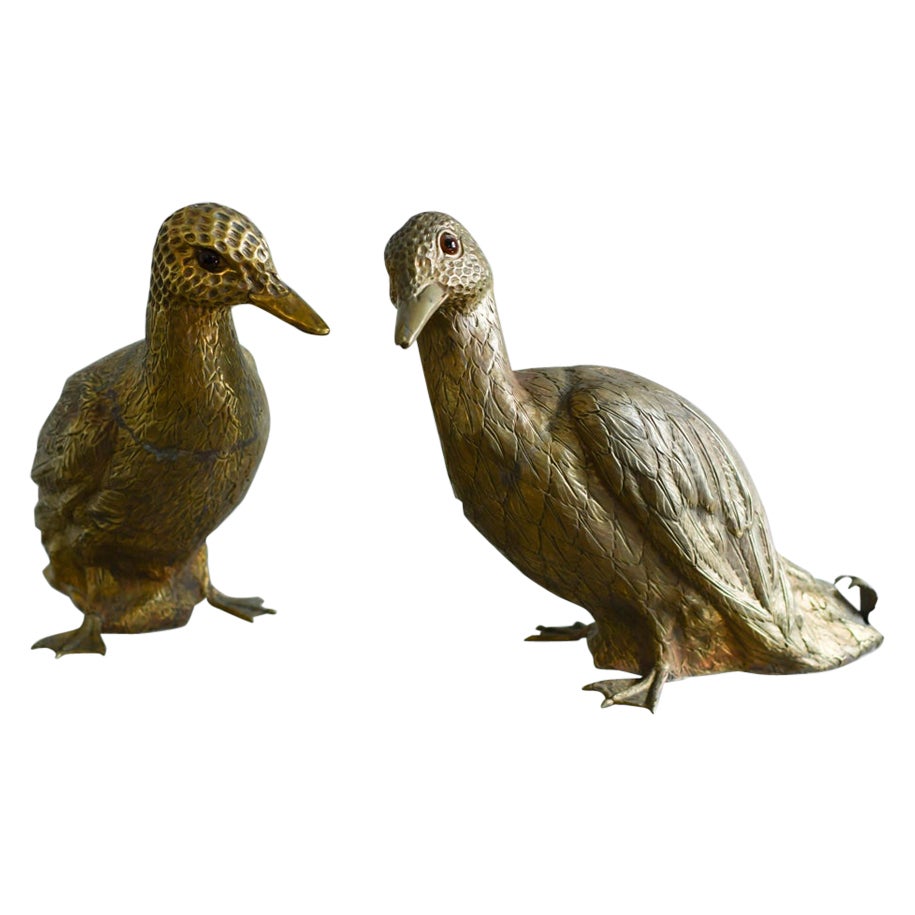 Pareja De Patos De Latón - Molto Editions, Años 70