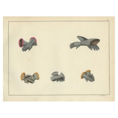19th-Century Hand-Coloured Lithograph of Medieval Gauntlets and Arm Defenses
