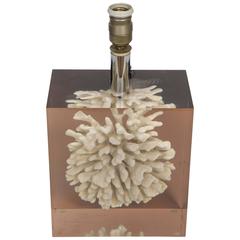 Very Nice Resin and Coral Lamp by Pierre Giraudon 10