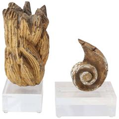 Two Gilt Fragments on Acrylic Bases