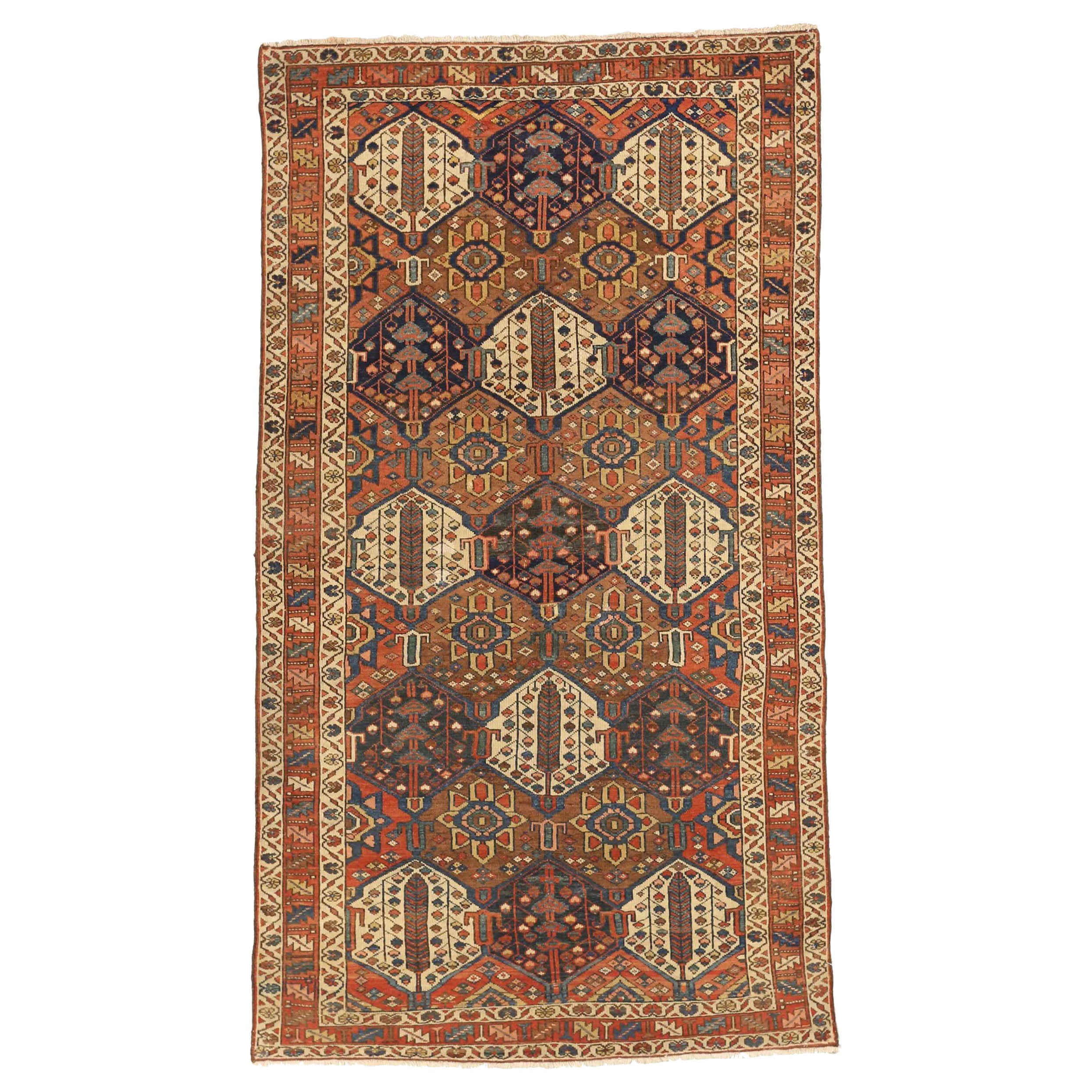 Persian Bakhtiari Area Rugs - 11066
