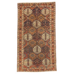 Persian Bakhtiari Area Rugs - 11066