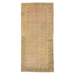 Russian Khotan Area Rugs - 10864