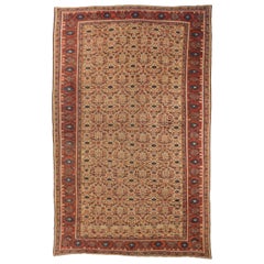 Persischer Sultanabad Over Size Teppich CIRCA 1880 - Wolle Elfenbein Design - 10591