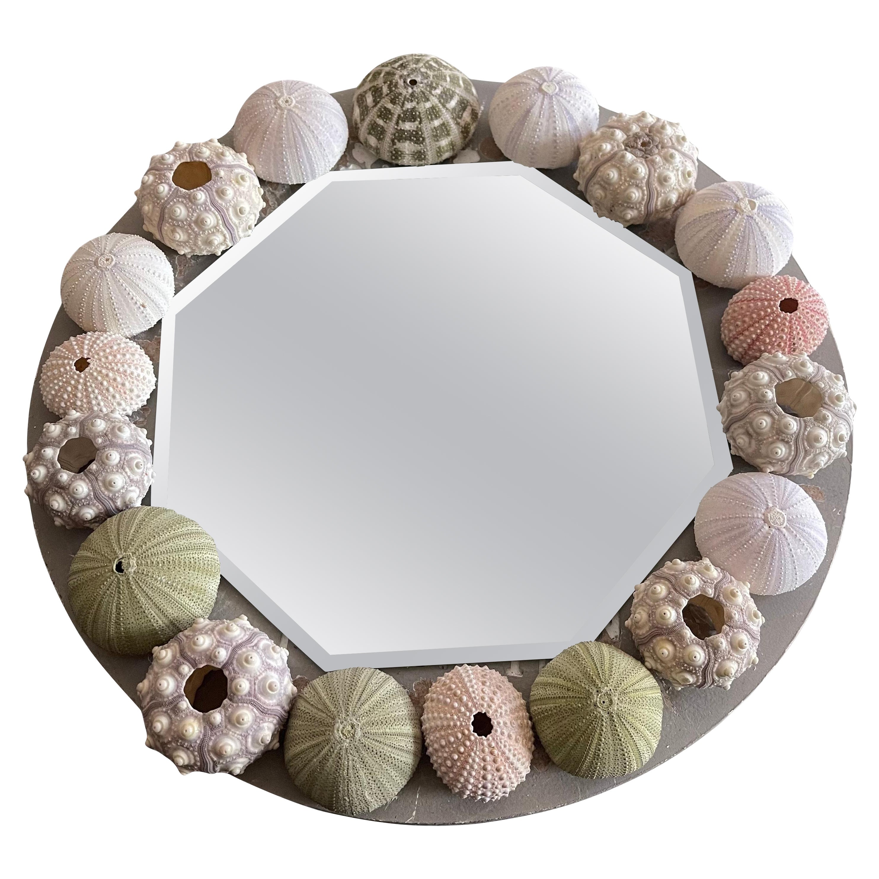 Organic Modern Sea Shell Urchins Vintage Round Mirror