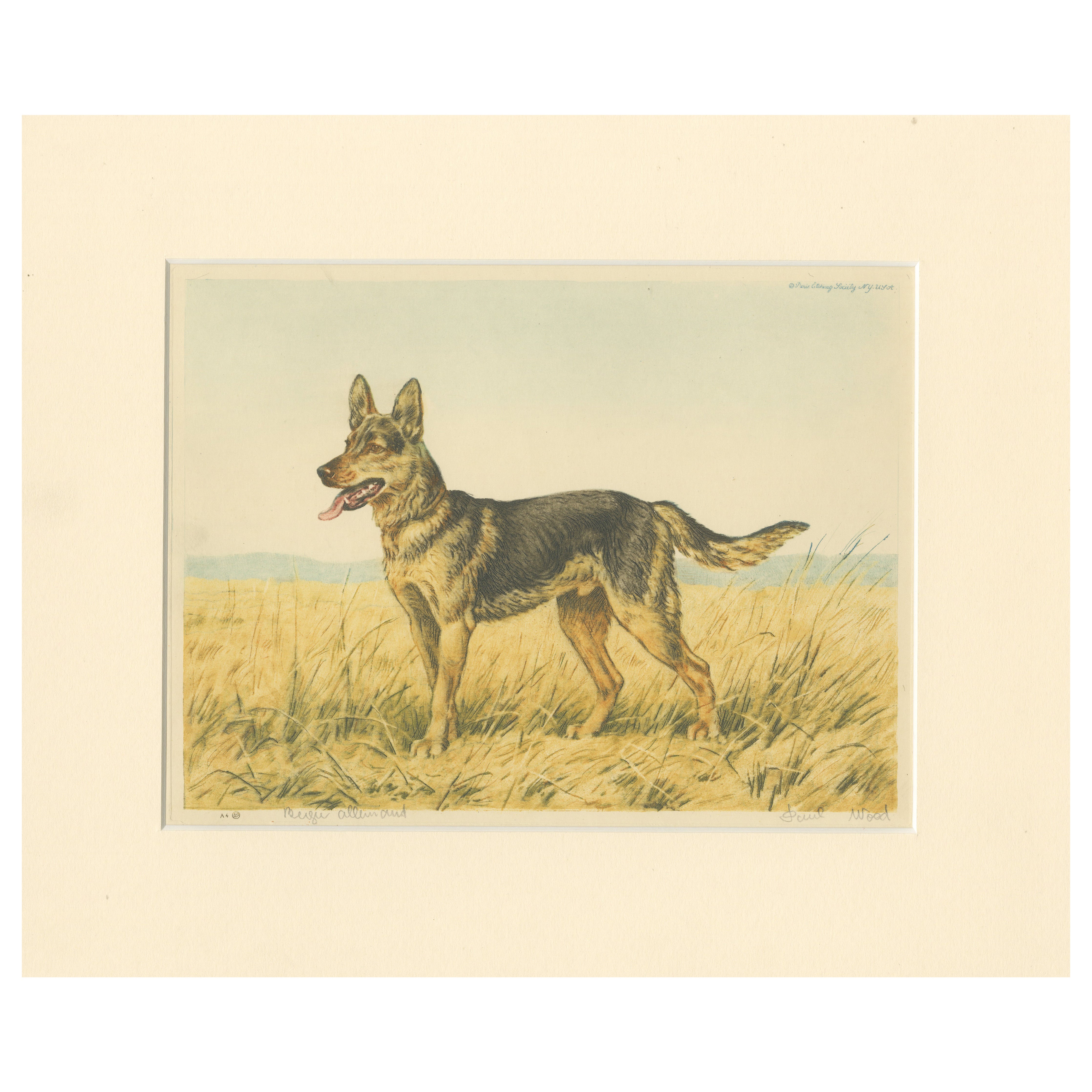German Shepherd in a Scenic Meadow – Hand-Colored Aquatint by Paul Wood, 1935 For Sale