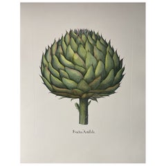 Estampa Contemporánea Italiana Pintada a Mano Botánica Verde "Alcachofa" 2 de 2