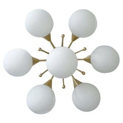 Camomillo di Fabio LTD