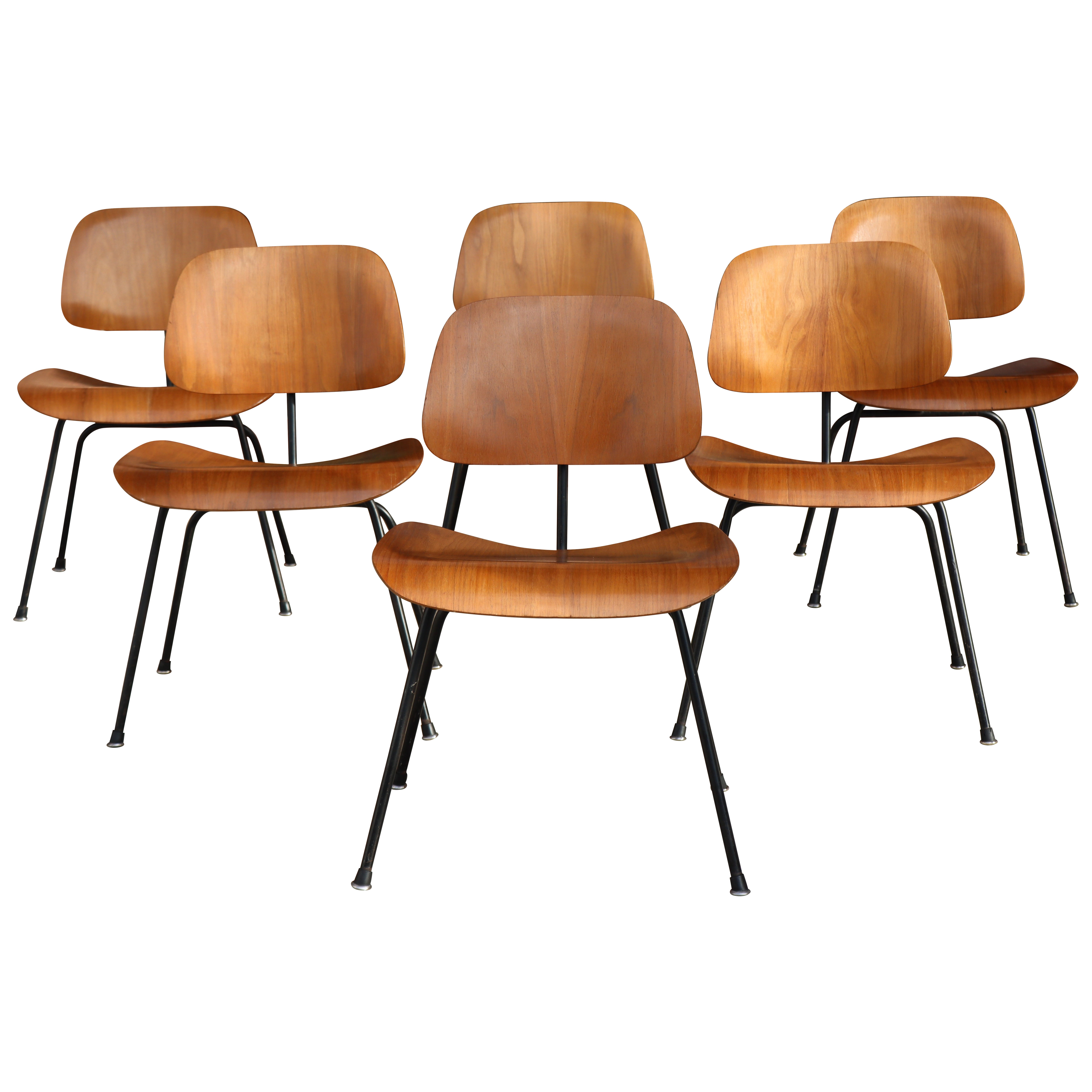 Sedie da pranzo Charles Eames per Herman Miller del 1950, DCM, noce, struttura nera in vendita