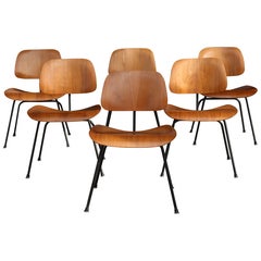1950s Charles Eames for Herman Miller Dining Chairs, DCM, Walnut, Black Frames