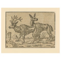 Antique Rare 1592 Woodcut of Deer from Sebastian Münster's "Cosmographia"
