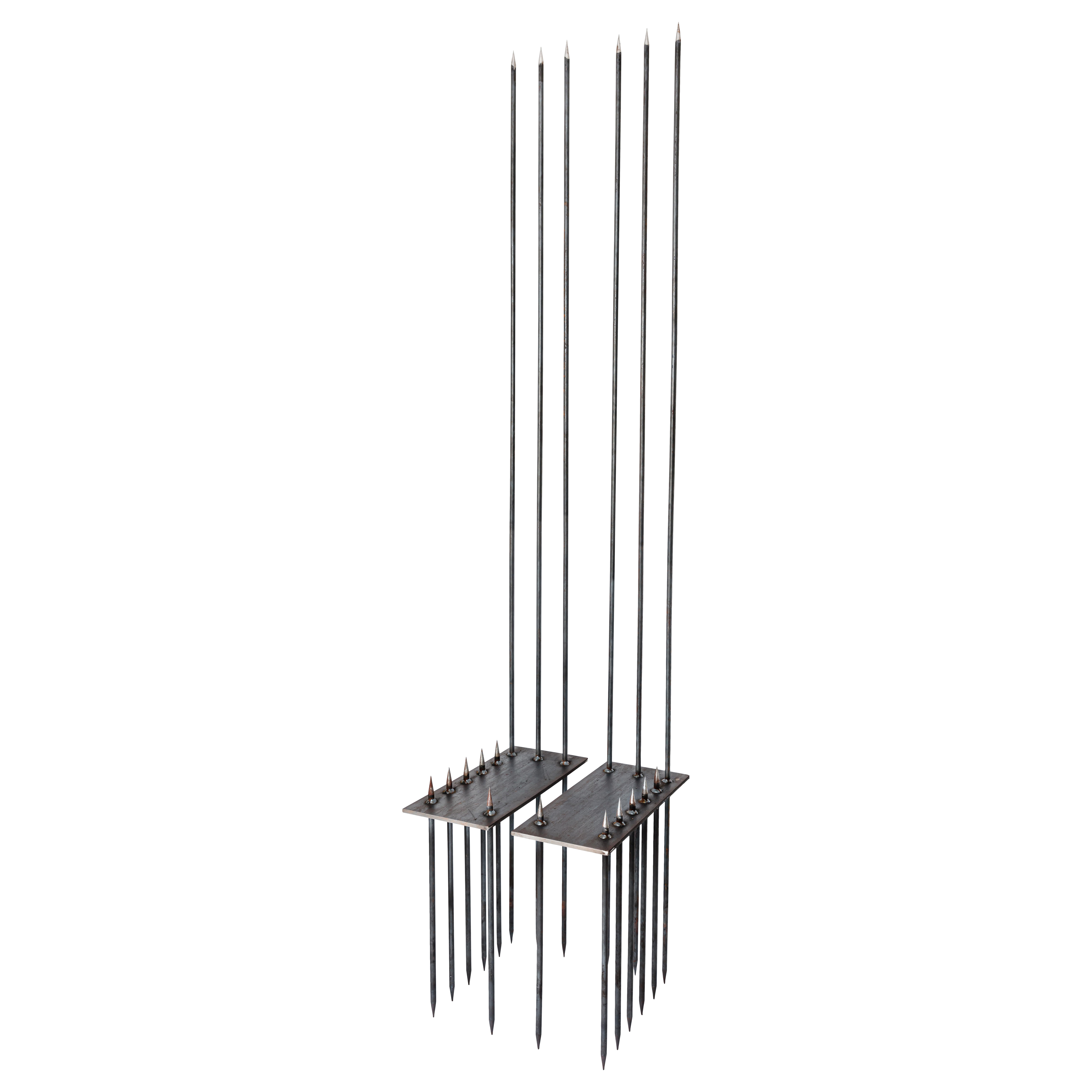 The Queen’s Chair by Alina Alamorean For Sale