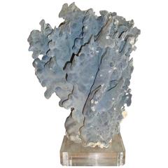 Blue Ridge Coral