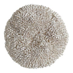 Round Form di Erin Vincent, 2024